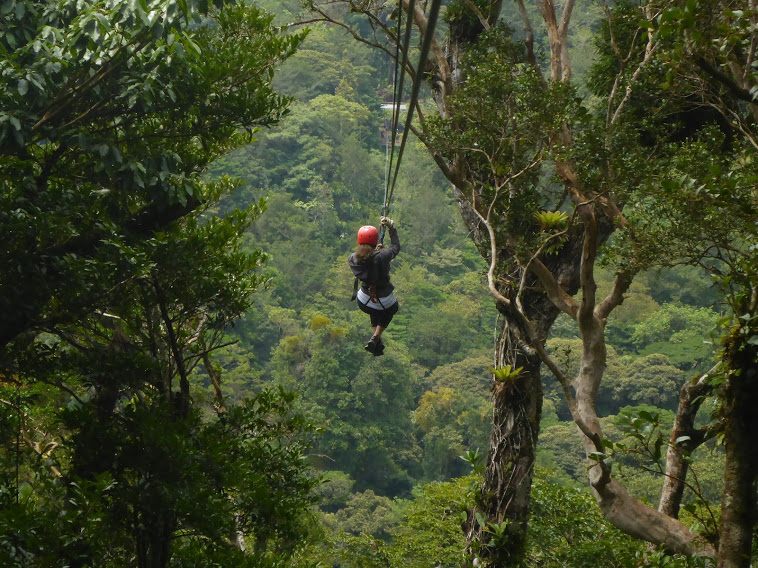 longest zipline in Costa Rica, Monteverde