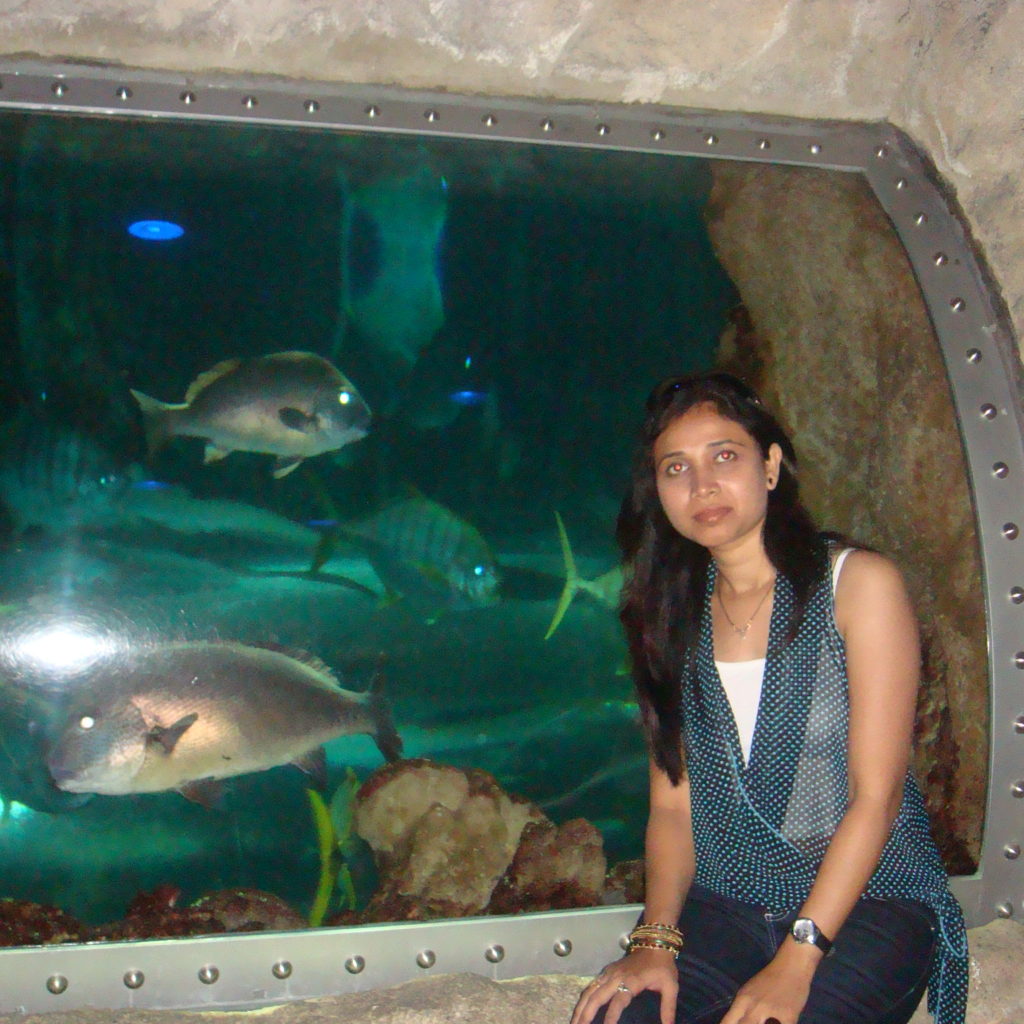 ellyfish and Shark - Underwater World Singapore 