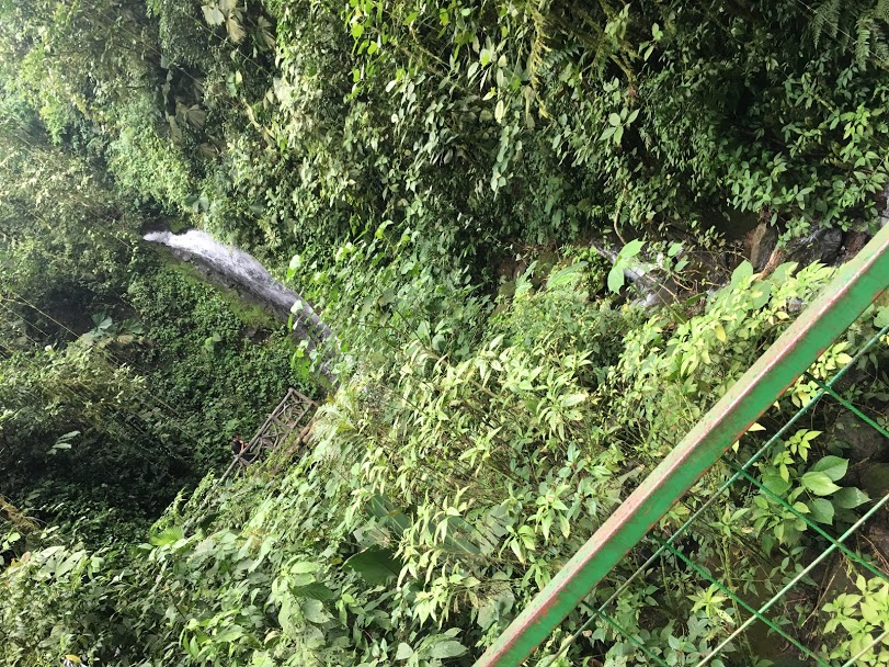Incredible Adventure in Tropical Rain Forest through Hanging Bridges 