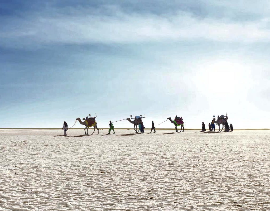 Infinity Desert Rann - Kutch, District of Gujarat - Take a Camel Ride in Hot Desert 