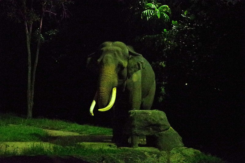 Night Safari, Wildlife Singapore