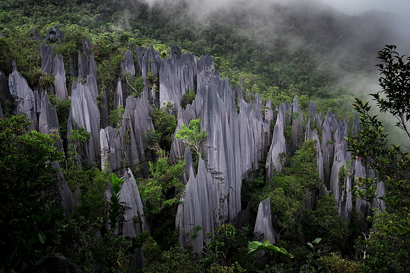 Gunung Mulu National Park, Sarawak - UNESCO Site 