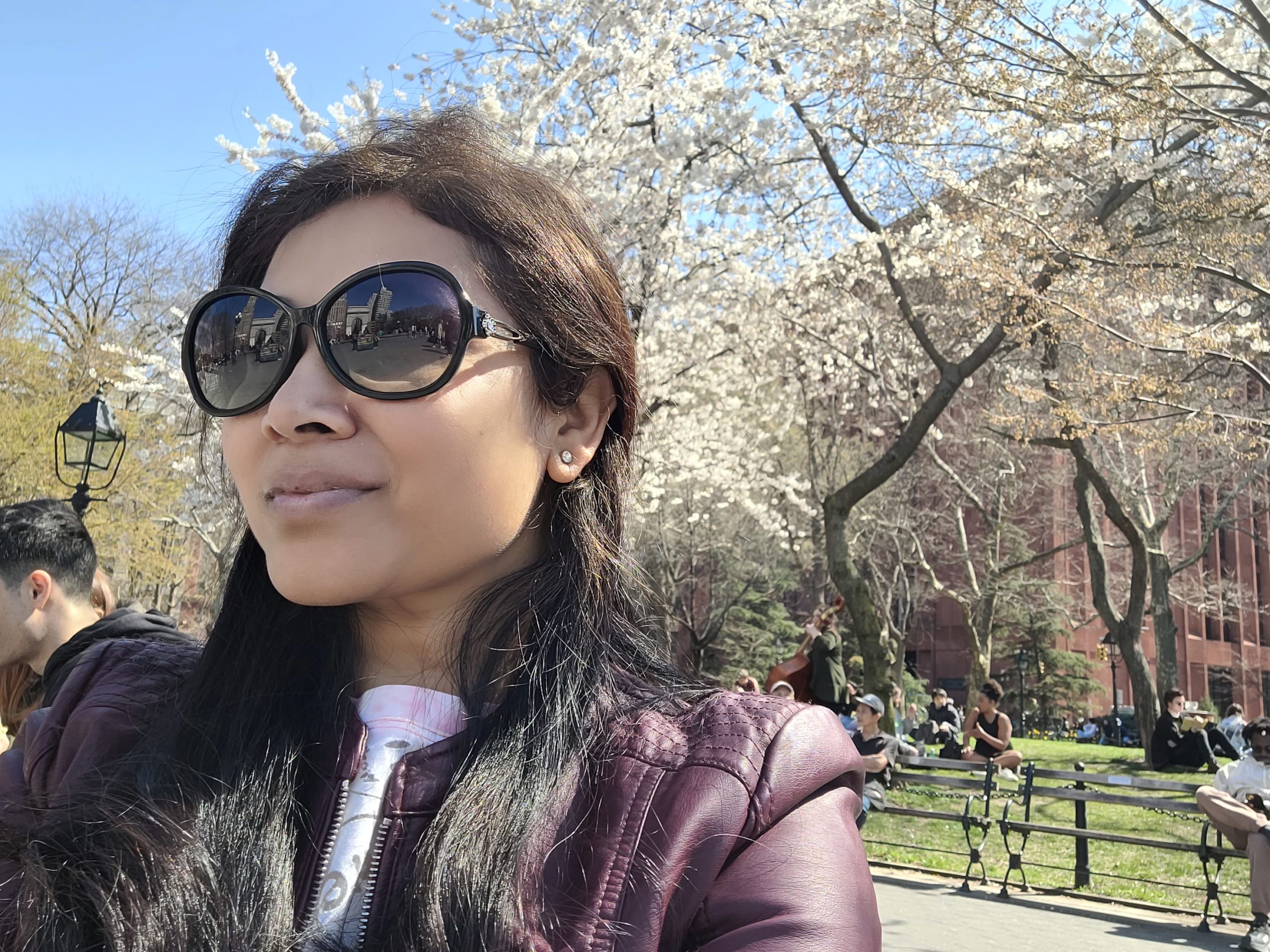spring-in-nyc-2023-cherry-blossoms-time